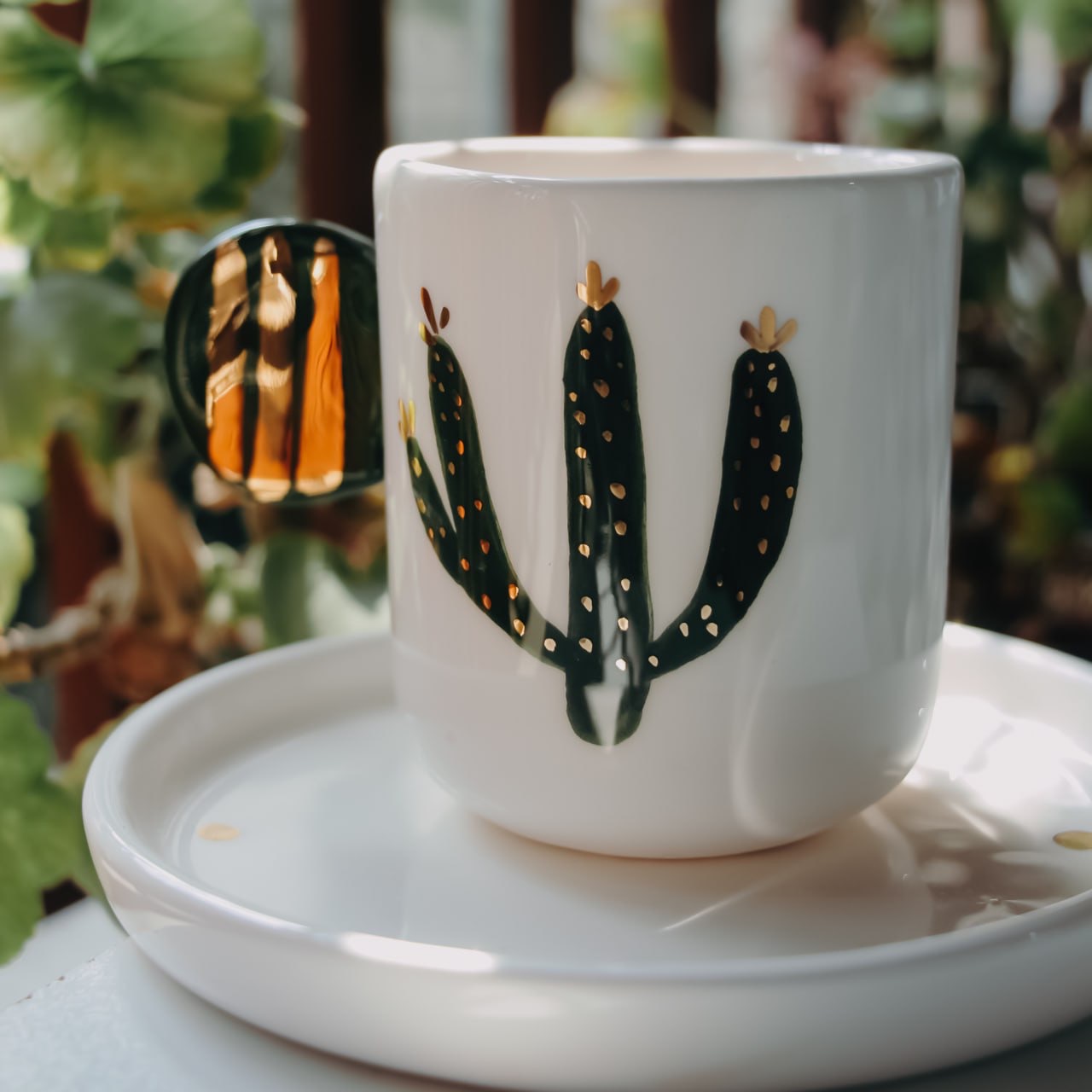 ست فنجان و پیش دستی کاکتوس 